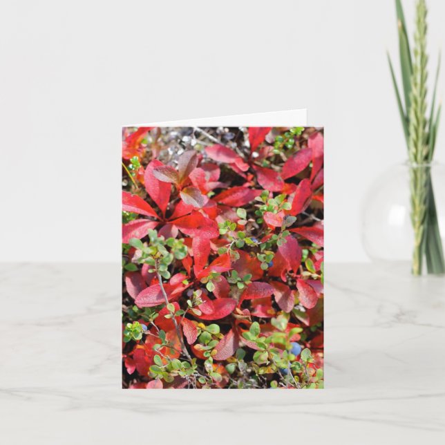 Carte Late Summer in Alaska - 4" x 5.6" Notecard (Devant)