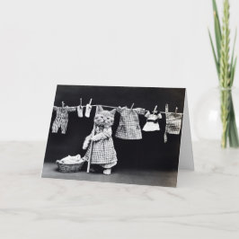 Carte Lave-linge Day Kitty