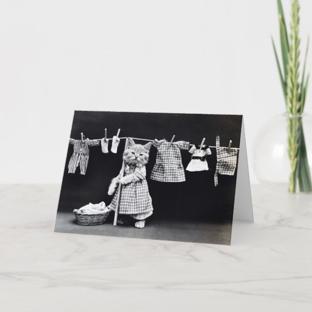 Carte Lave-linge Day Kitty (Devant)