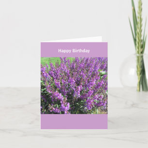 Carte Lavendar fleurit des souhaits d'anniversaire