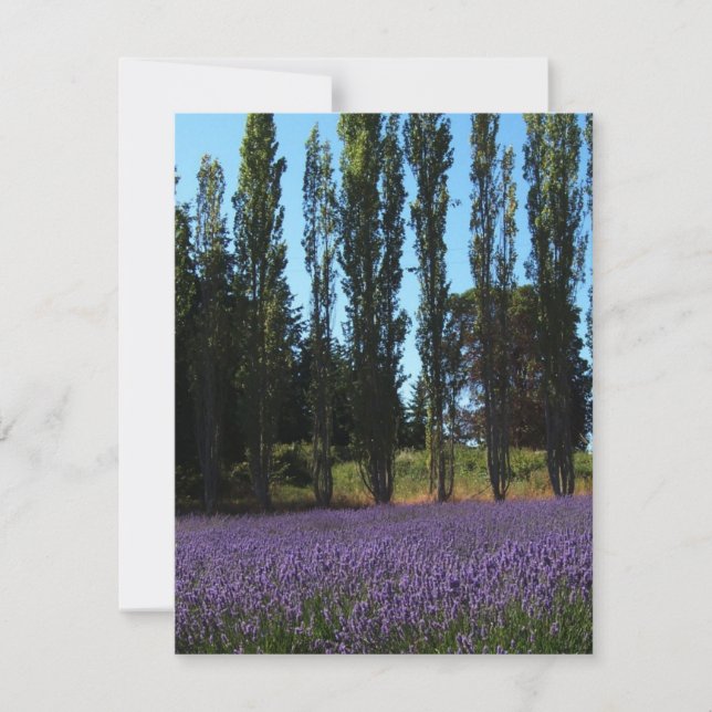 Carte Lavender Field Bible Verse Encouragement Card (Devant)