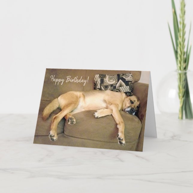 Carte Lazy Hound Dog Napping sur canapé (Devant)