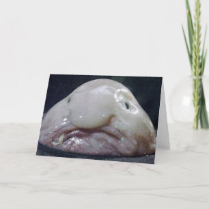 Carte Le Blobfish