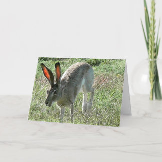 Carte Le bonheur est un voyage