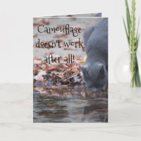 Le camouflage ne marche pas après tout