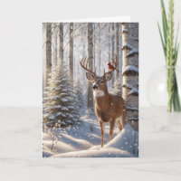 Le Cardinal Rouge perché sur les Antlers d'un cerf