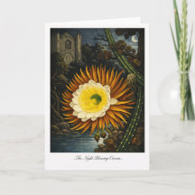 Le Cereus de Nuit — Réinterprétation Botanique Mod
