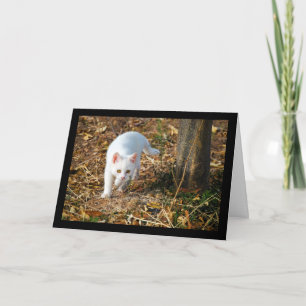 Carte Le Chasseur Blanc