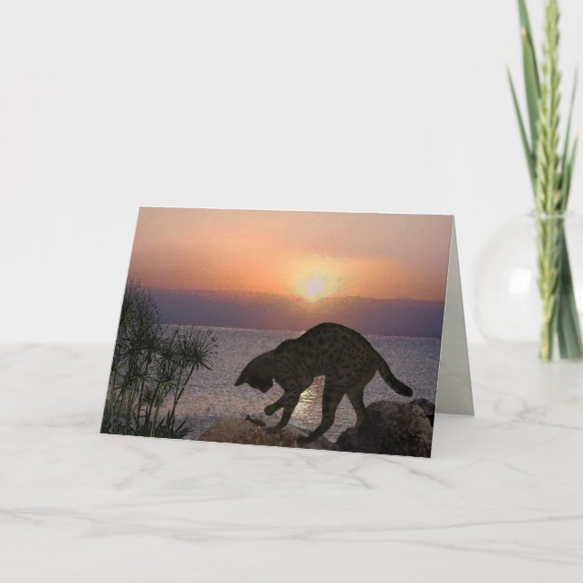 Carte Le chat de Yeshua : Le Mari dans Capernaum (Devant)