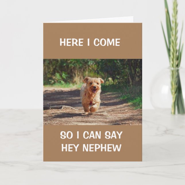 CARTE *LE CHIEN COOL QUI COURT** DIT JEUX ANNIVERSAIRE N (Devant)