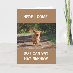 CARTE *LE CHIEN COOL QUI COURT** DIT JEUX ANNIVERSAIRE N