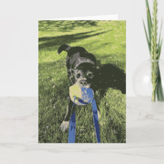 Carte Le Chien Noir Joue Du Chien De Guerre Le Chien Du