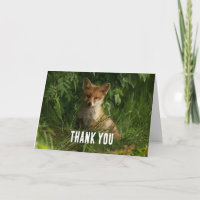 Le chou renard dans un Merci de forêt verte