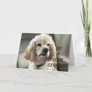 CARTE LE COCKER SPANIEL PUPPY VOUS SOUHAITE UNE BONNE CA