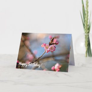 Carte Le cool Sakura Flowers Contre L'Arrière - plan Gri