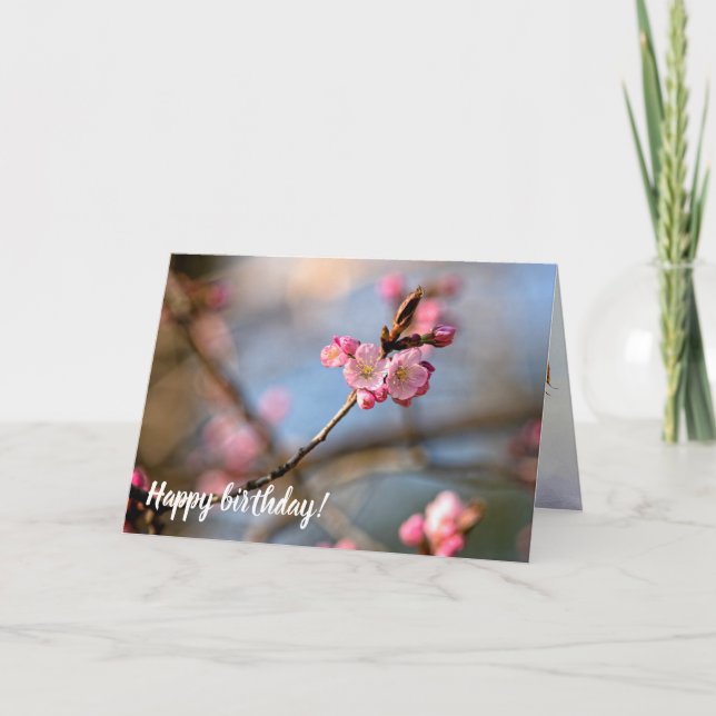 Carte Le cool Sakura Flowers Contre L'Arrière - plan Gri (Devant)