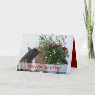 Carte Le Day de Cat et Roses Happy Mother !