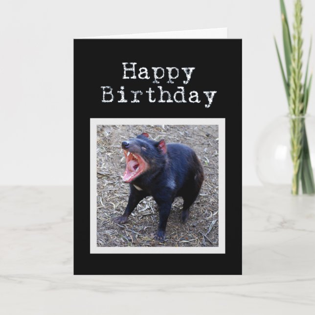 Carte Le diable de Tasmanie fête son anniversaire (Devant)