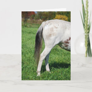 Carte Le dos du cheval au revoir