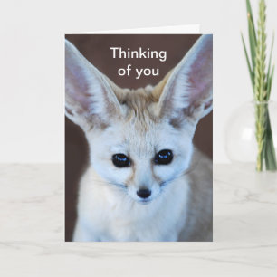 Carte Le Fox de Fennec le plus mignon des mondes