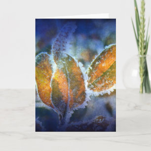 Carte Le froid d'hiver en toutes occasions