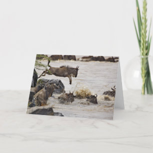 Carte Le gnou sautant dans la rivière de Mara pendant