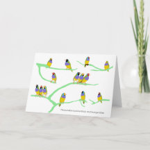 Le Gouldian Finch (Erythrura gouldiae)