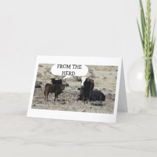 CARTE LE "HERD" A "ENTENDU" C'EST VOTRE GROUPE D'ANNIVER