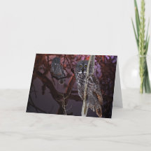 Le hibou de grand gris majestueux