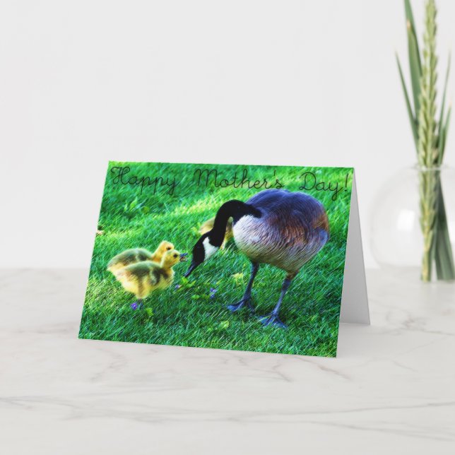 Carte Le jour de mère heureux : Oie et poussins du (Devant)