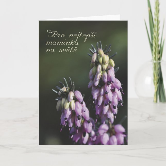 Carte Le Jour de Mother à Czech (Devant)