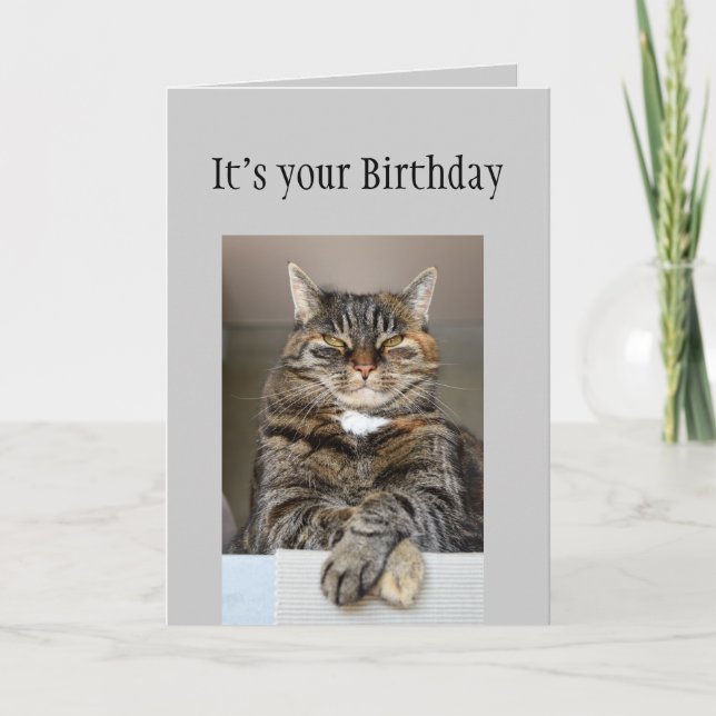 Carte Le joyeux anniversaire ne vous regardent pas chat (Devant)