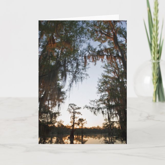 Carte Le lac Caddo au lever du soleil (Devant)
