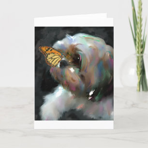 Carte le miracle.jpg