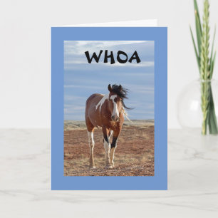 CARTE LE MOT EST QUE VOUS ÊTES **12**