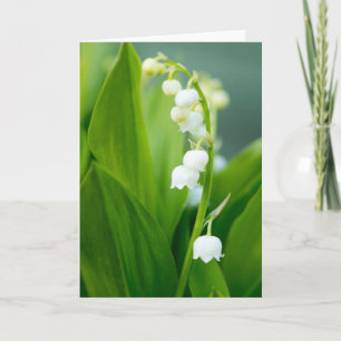 Carte Le muguet