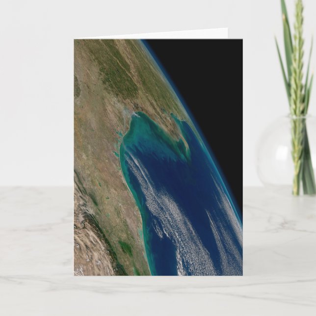 Carte Le Nord Du Golfe Du Mexique. (Devant)