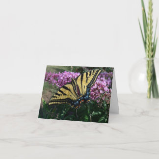 Carte Le nouveau jour fait du jardinage machaon