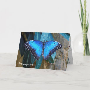 Carte Le papillon bleu Morpho qui vous pense