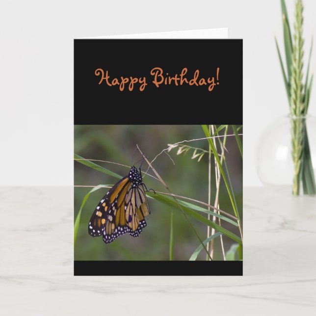 Carte Le papillon Monarque dans l'herbe Anniversaire (Devant)
