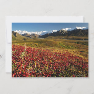 Carte Le Parc national de Denali