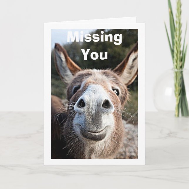 CARTE LE PAUVRE DONKEY VOUS MANQUE / PAS TRÈS HEUREUX À  (Devant)