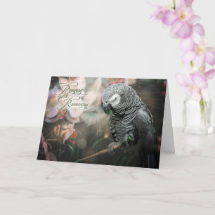 Carte Le perroquet gris africain et les orchidées se por