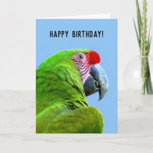 Carte Le perroquet vert d'Ara Militaris