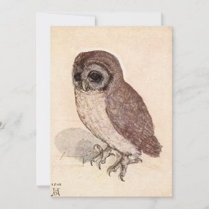Carte Le Petit hibou   Albrecht Dürer