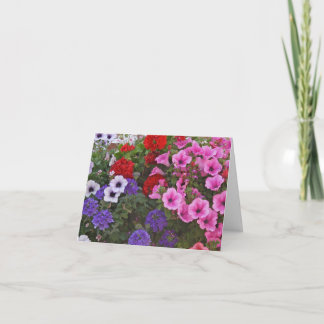 Carte le pétunia fleurit le chèque-cadeau