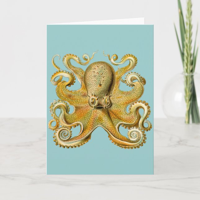 Carte Le poulpe d'Ernst Haeckel (Devant)