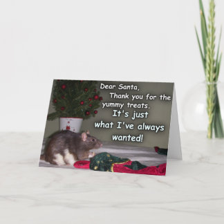 Carte : Le rêve de rat de Noël viennent vrai !