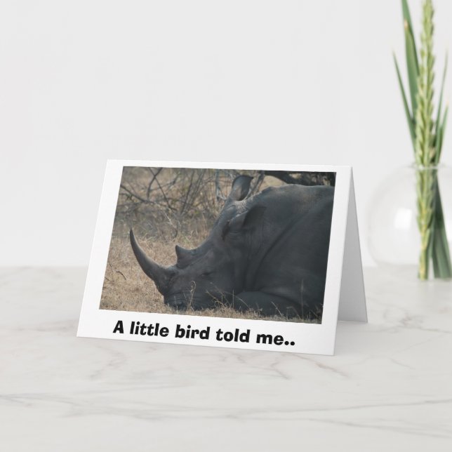 Carte Le rhinocéros blanc obtient le conseil d'un petit (Devant)