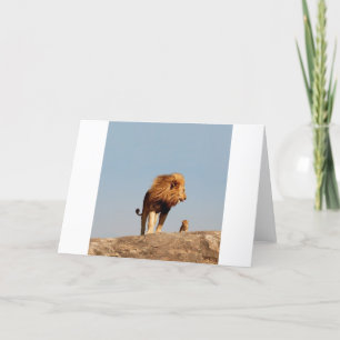 Carte Le roi de lion (lion et CUB adultes)